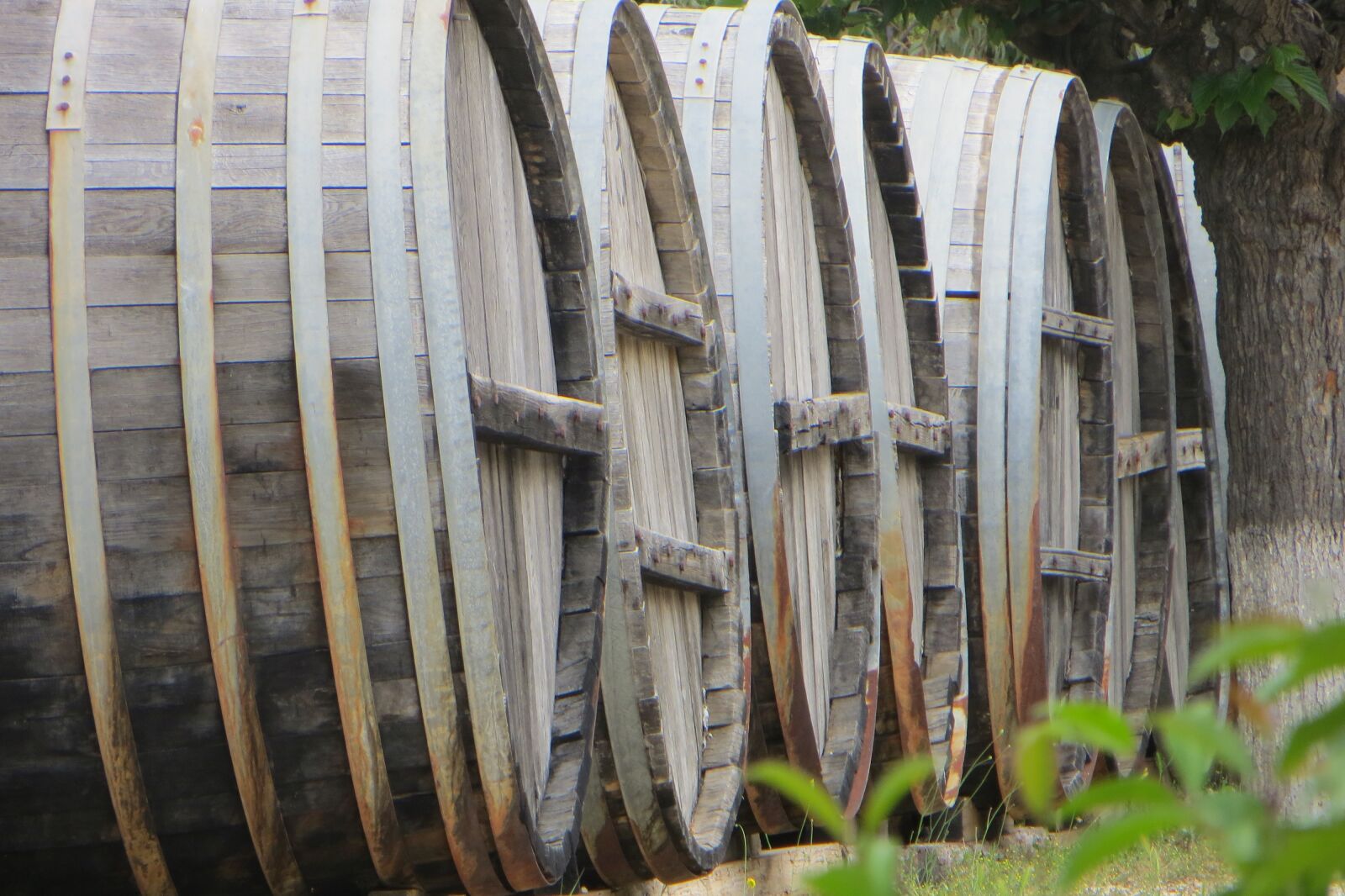 Canon PowerShot SX260 HS sample photo. Vineyard, wine, barrel photography