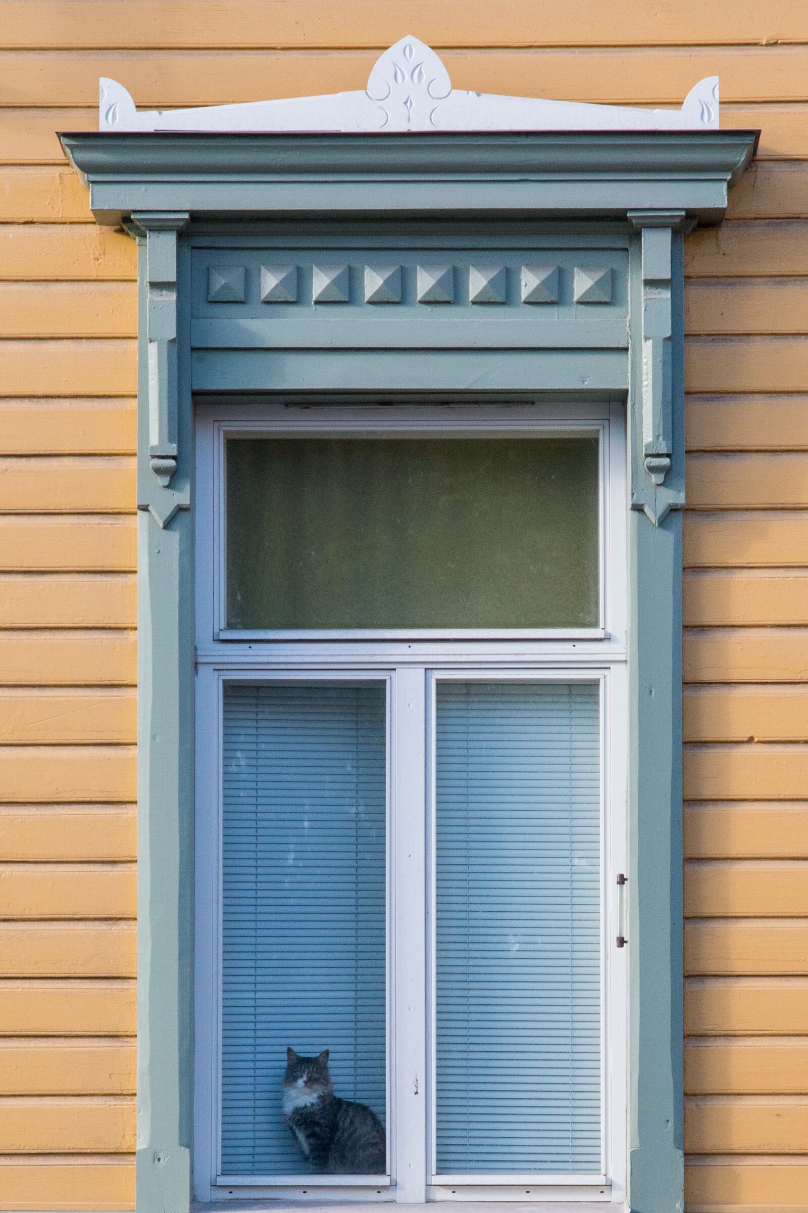 Canon EOS 70D sample photo. Cat, finnish, wooden house photography