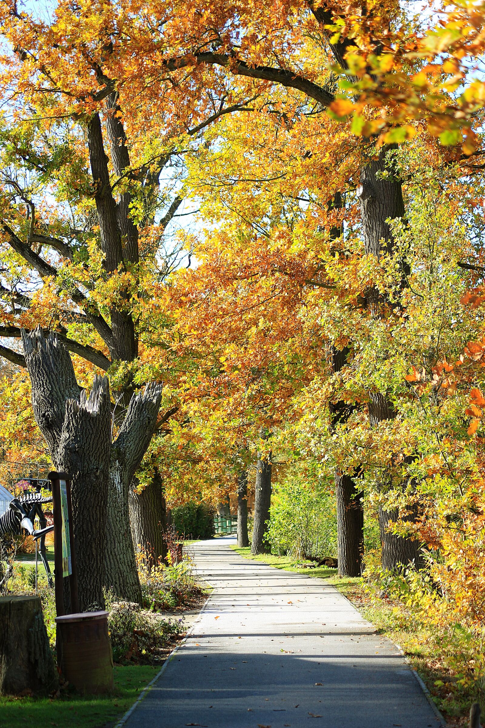 Canon EOS 700D (EOS Rebel T5i / EOS Kiss X7i) sample photo. Away, autumn, fall foliage photography