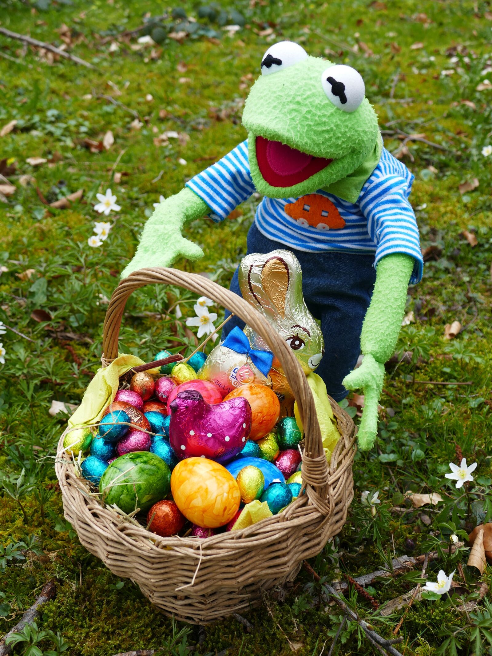 Panasonic Lumix DMC-FZ1000 sample photo. Easter, search, easter eggs photography