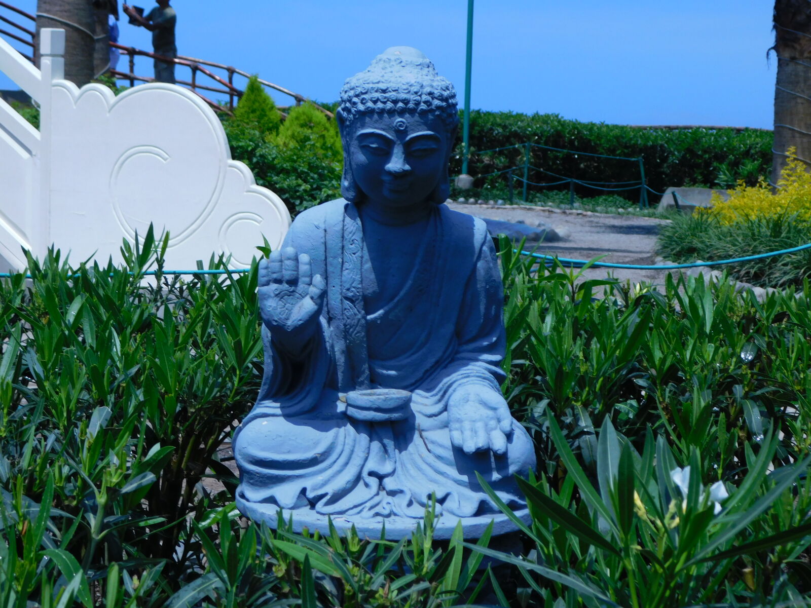 Nikon Coolpix B500 sample photo