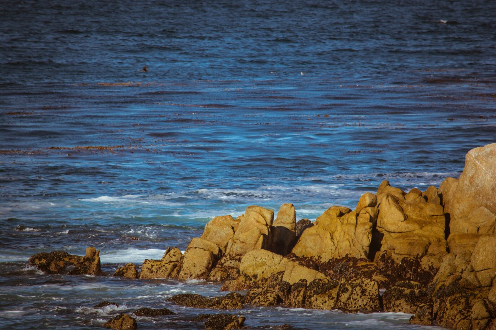Nikon D7100 sample photo. Water, sea, seashore photography
