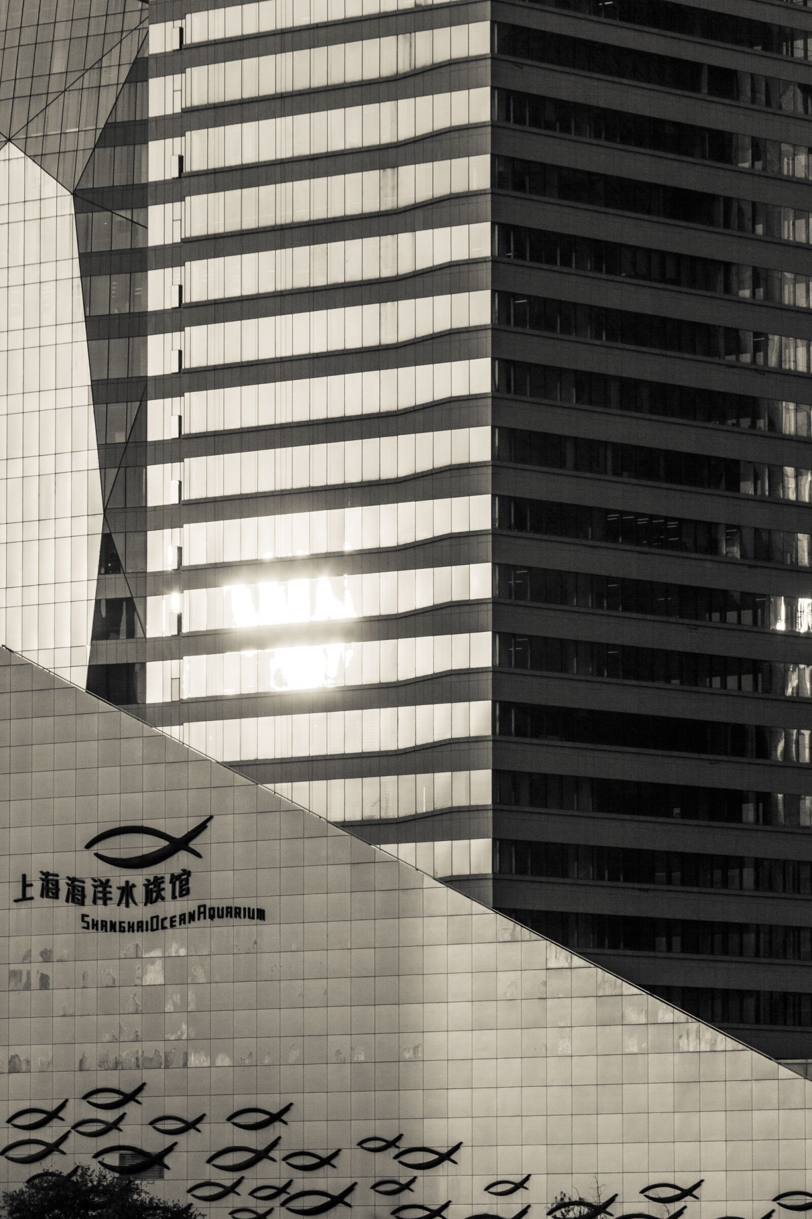 Canon EF-S 18-135mm F3.5-5.6 IS sample photo. Architecture, business, buildings photography