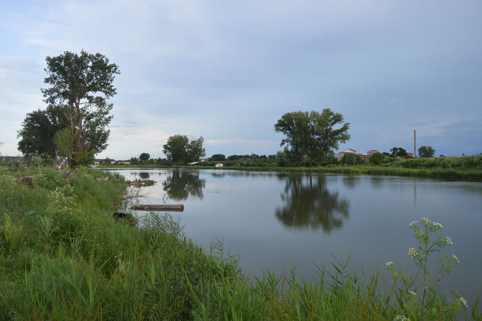 Nikon D3200 sample photo. See, natural, water photography