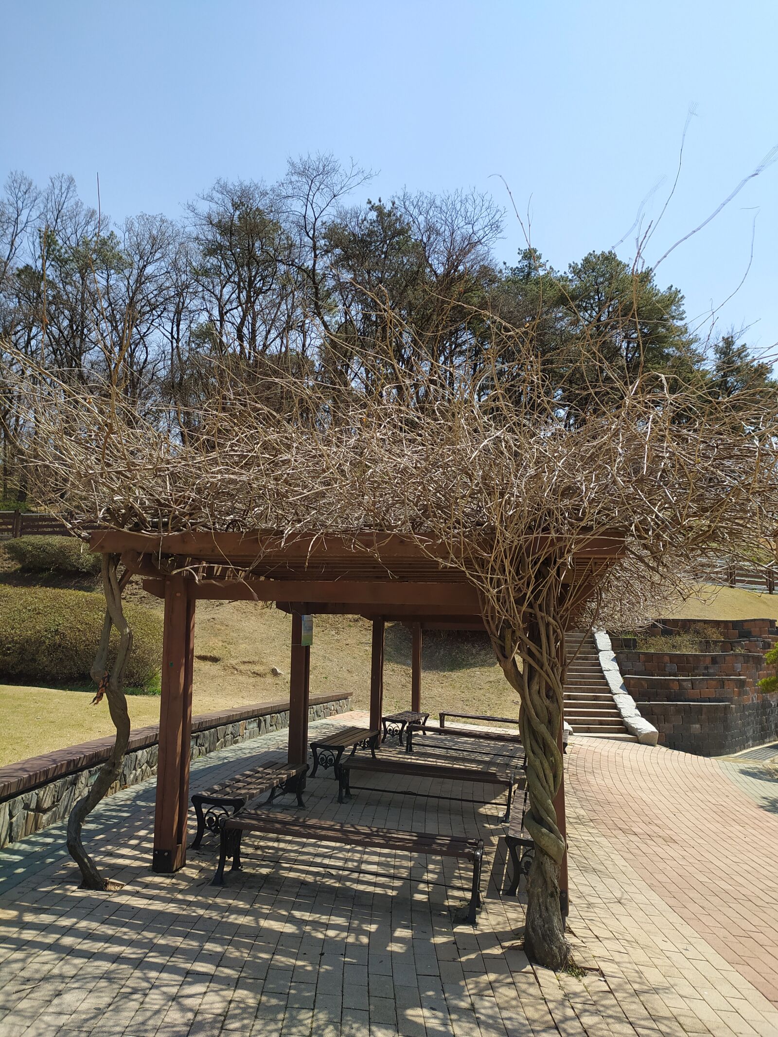 Xiaomi Redmi Note 8T sample photo. Shed, woods, nat photography