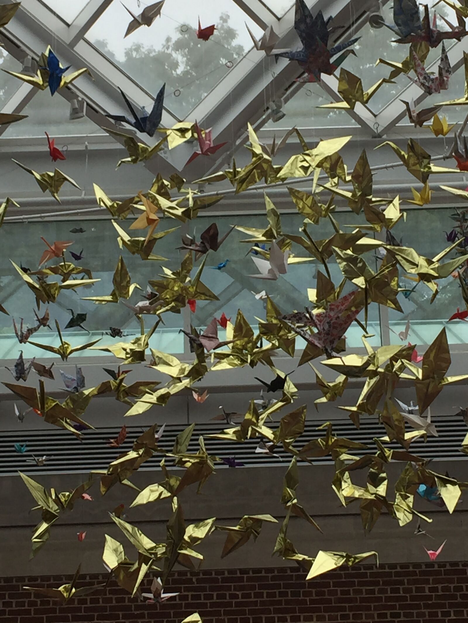 iPhone 6 back camera 4.15mm f/2.2 sample photo. Origami photography