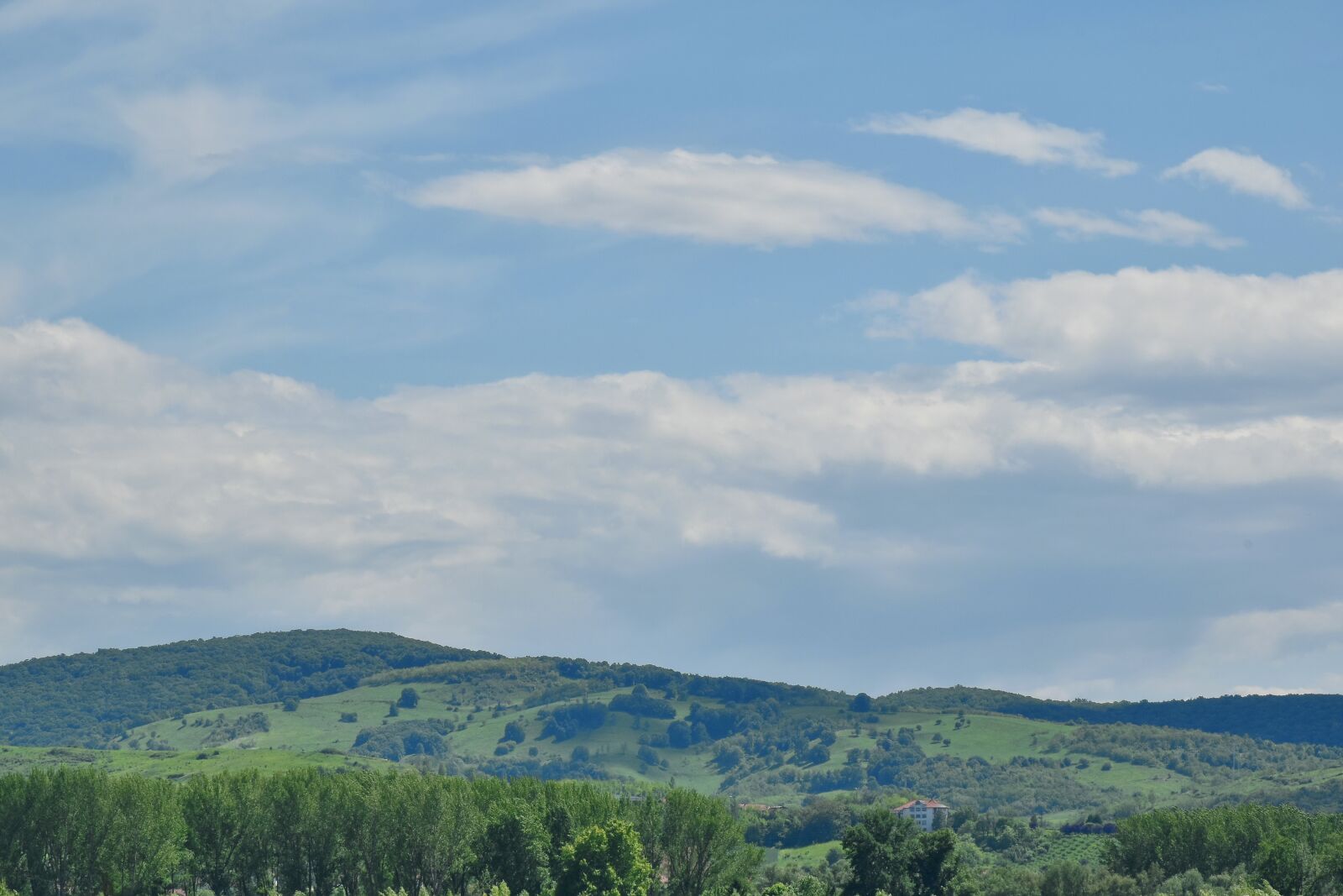 Nikon D5500 sample photo. Foggy, hillside, mountains, mountain photography