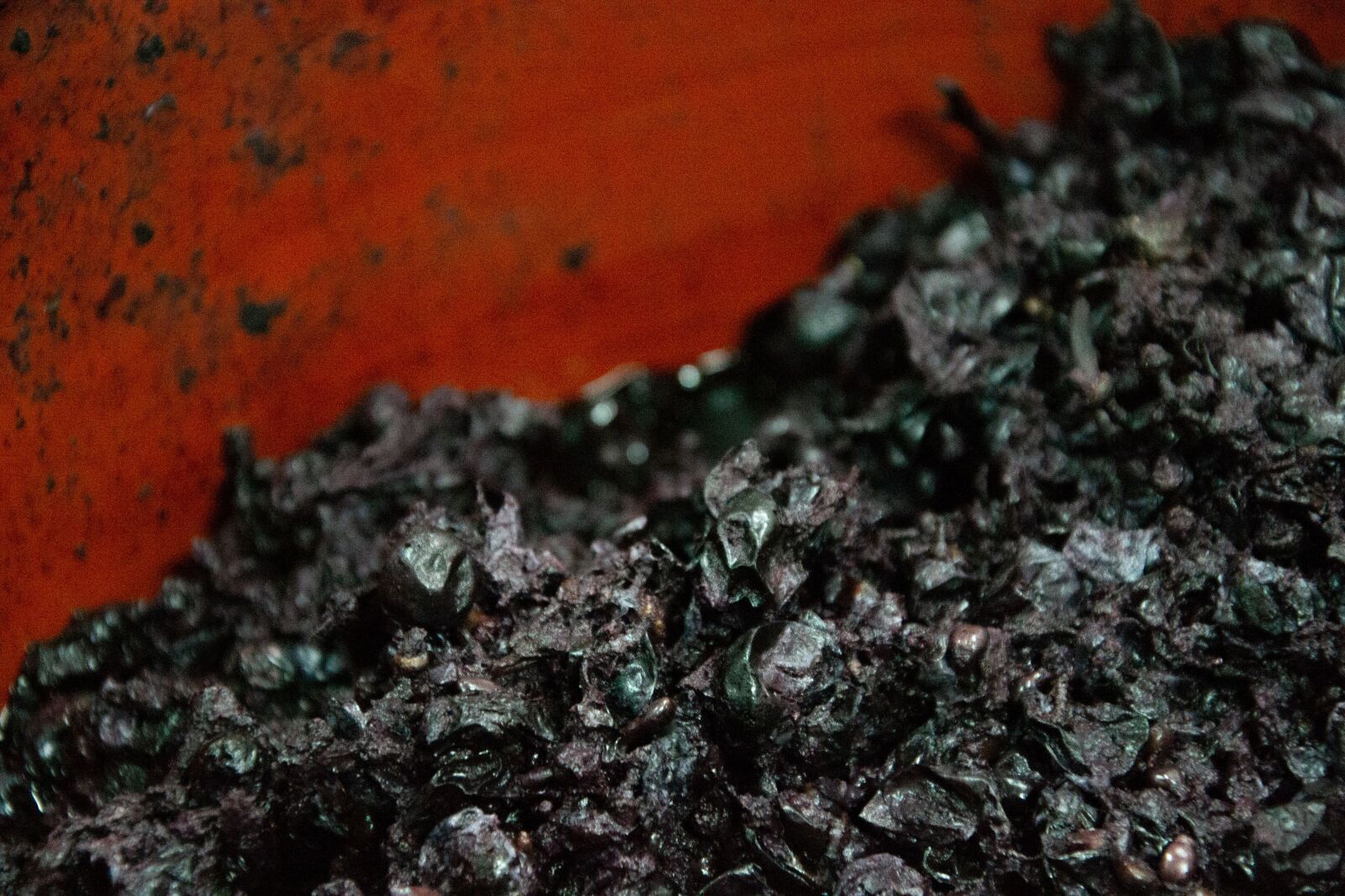 Nikon D3100 sample photo. Leftover, grapes, alcohol photography