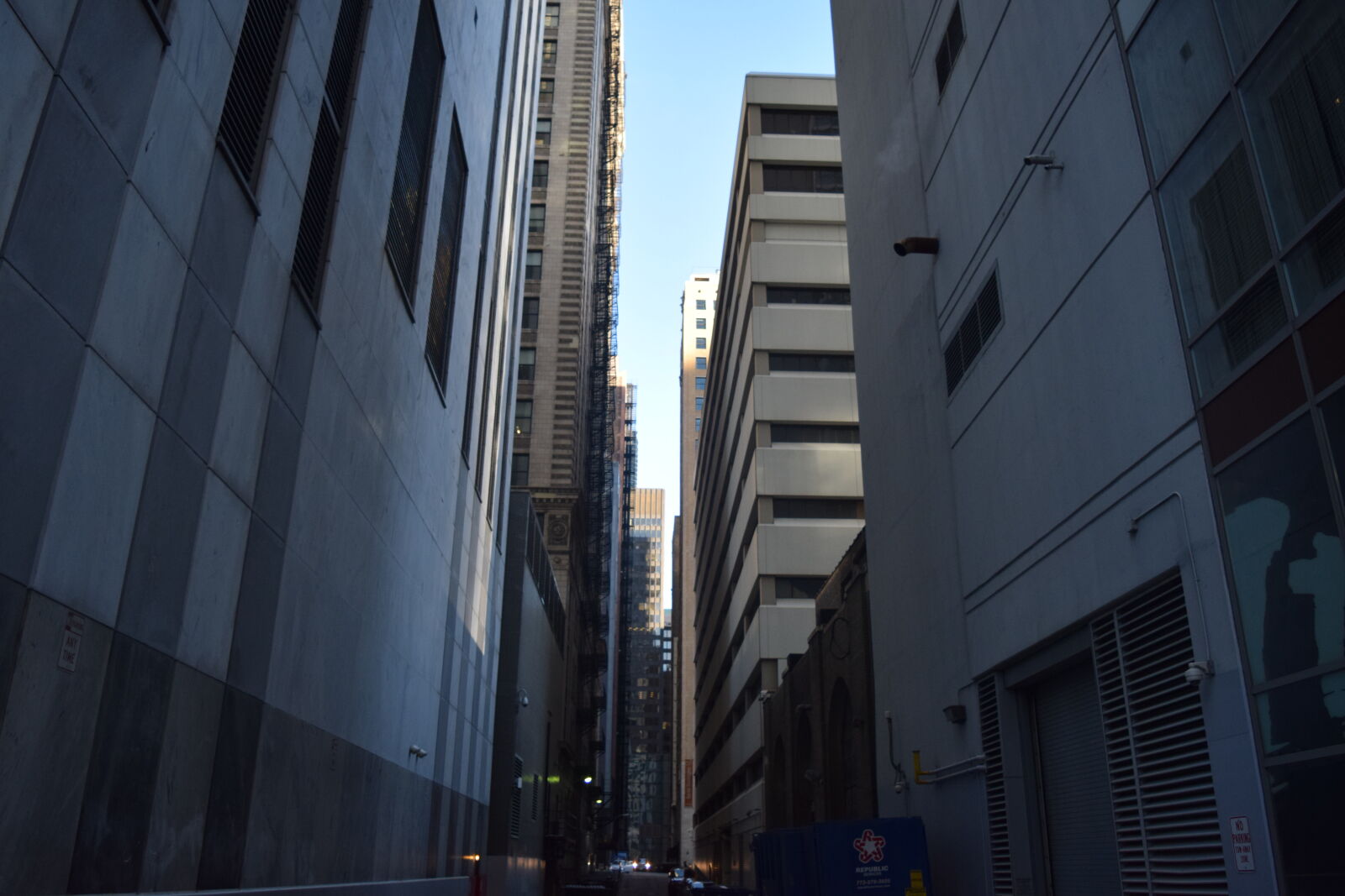 Nikon D3300 sample photo