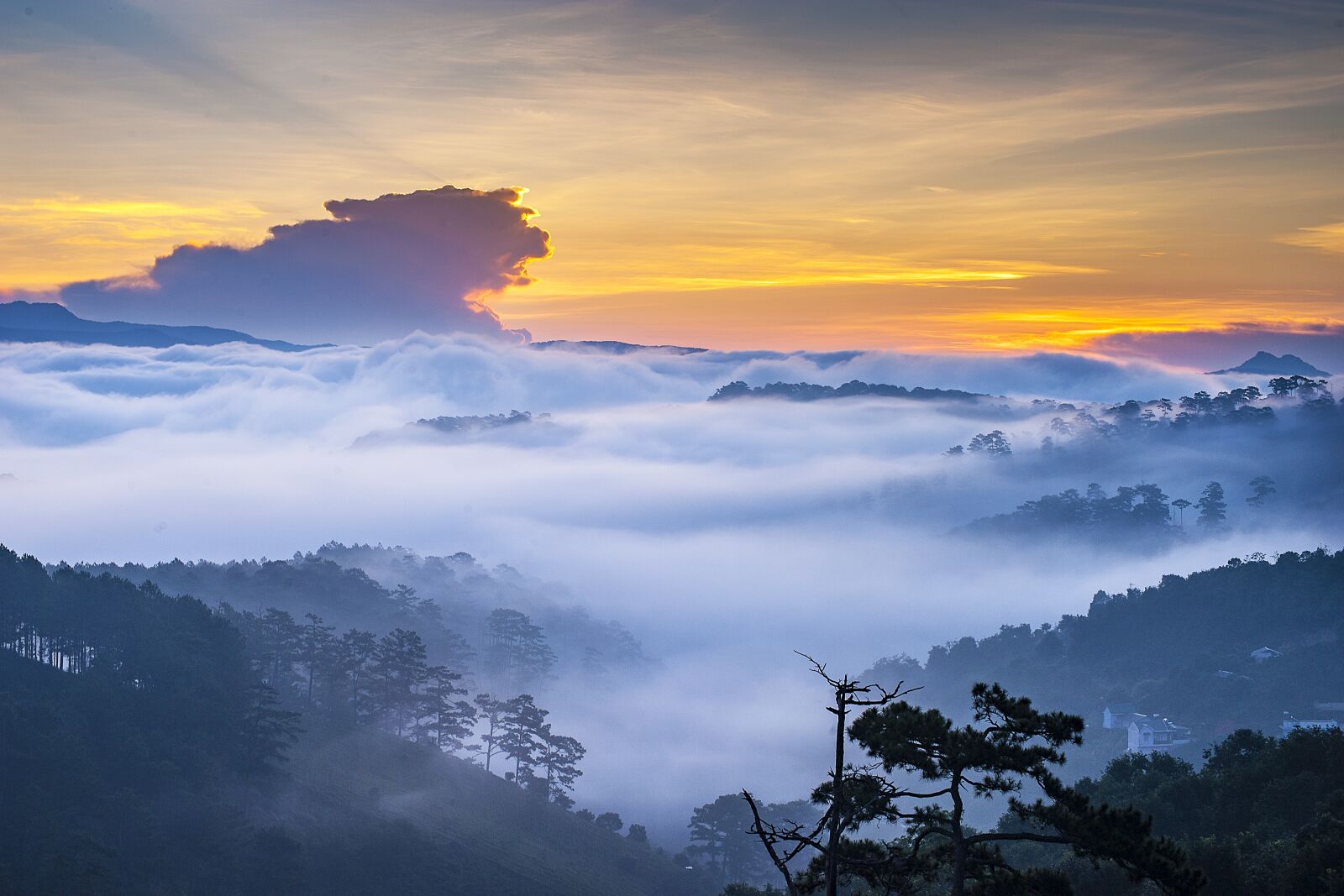 Nikon D700 sample photo. Sea mist, scenery, the photography