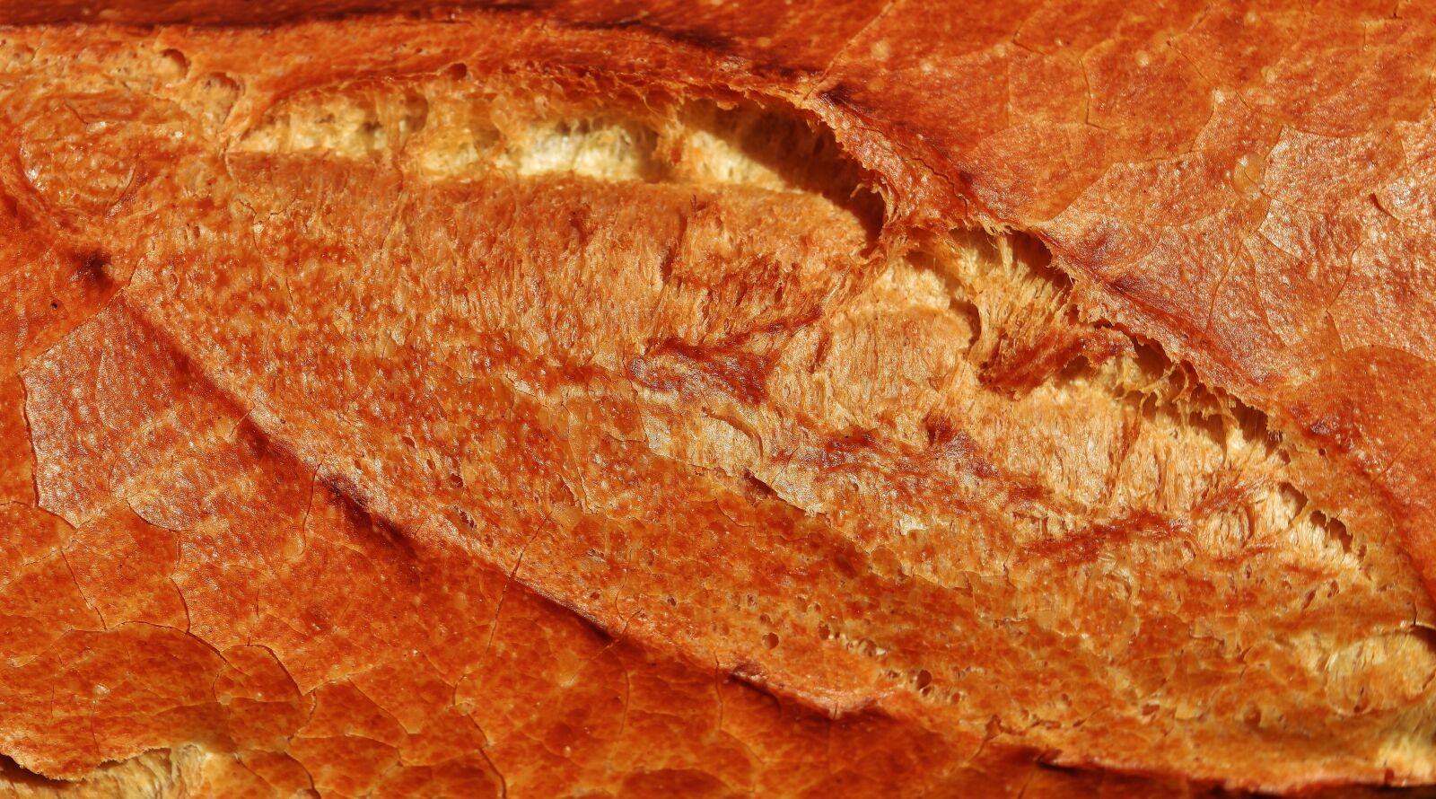 Nikon D7200 sample photo. Baguette, bread, baked goods photography