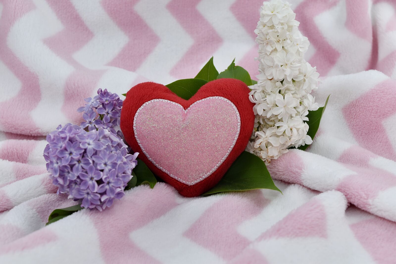 Nikon D5500 sample photo. Affection, beautiful flowers, heart photography