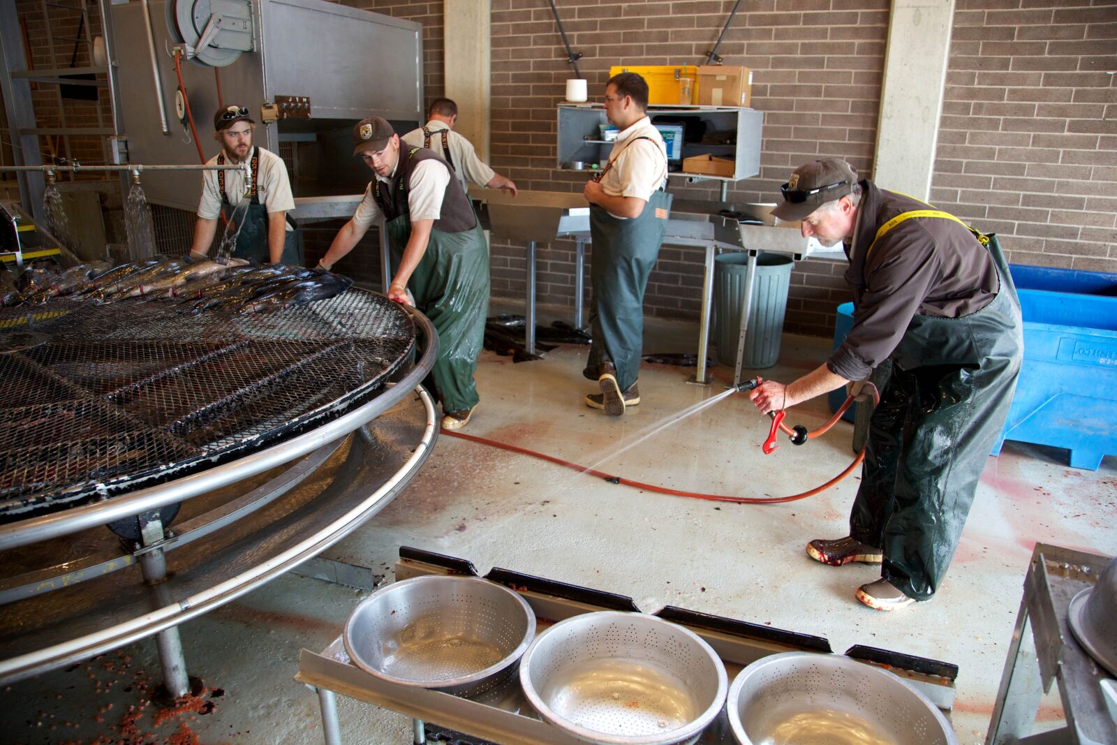 Canon EOS 5D Mark II sample photo. Service, employees, spawning, equipment photography