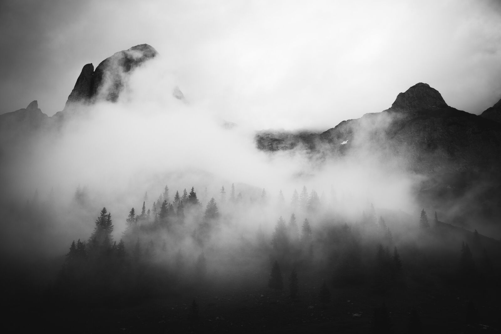 Canon EOS 6D + Canon EF 24-105mm F4L IS USM sample photo. Mountain, forest, trees photography
