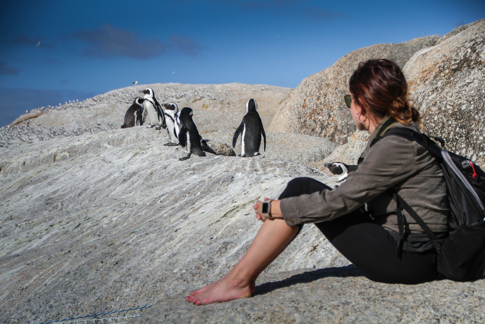 Canon EOS 7D sample photo. Penguins, south africa, cape photography