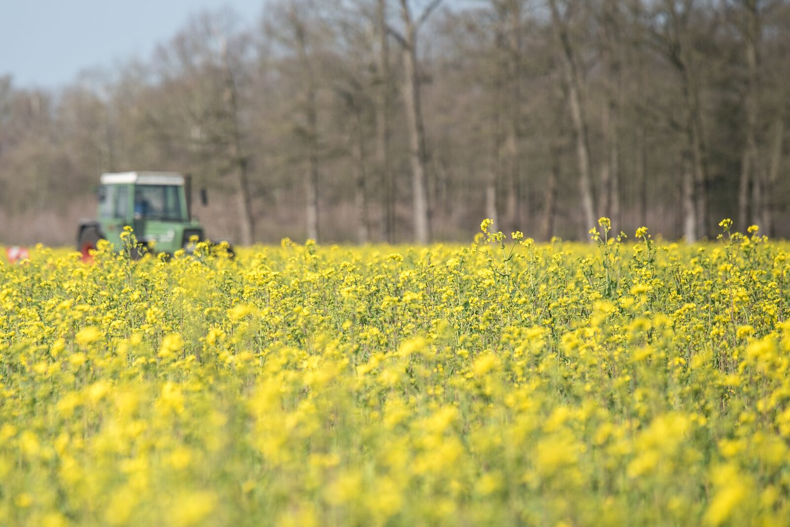 Nikon D750 sample photo. Field, tractors, spring photography