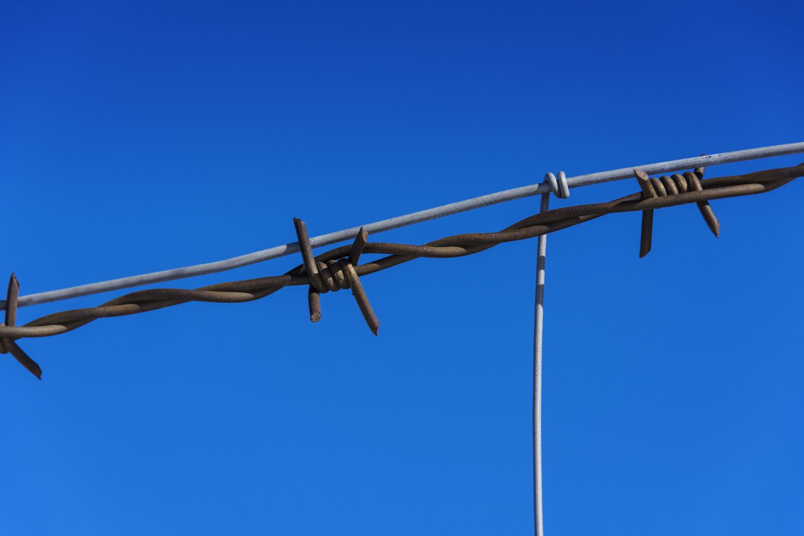 Nikon D7200 sample photo. Barbed wire, pasture fence photography
