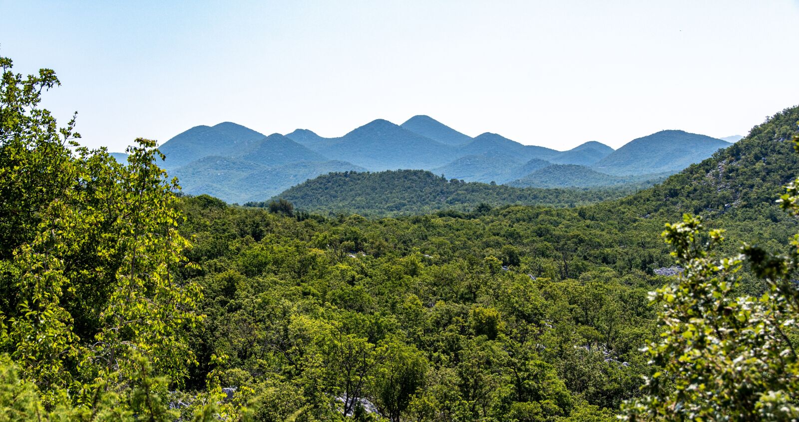 Nikon D500 sample photo. Hill, forests, croatia photography