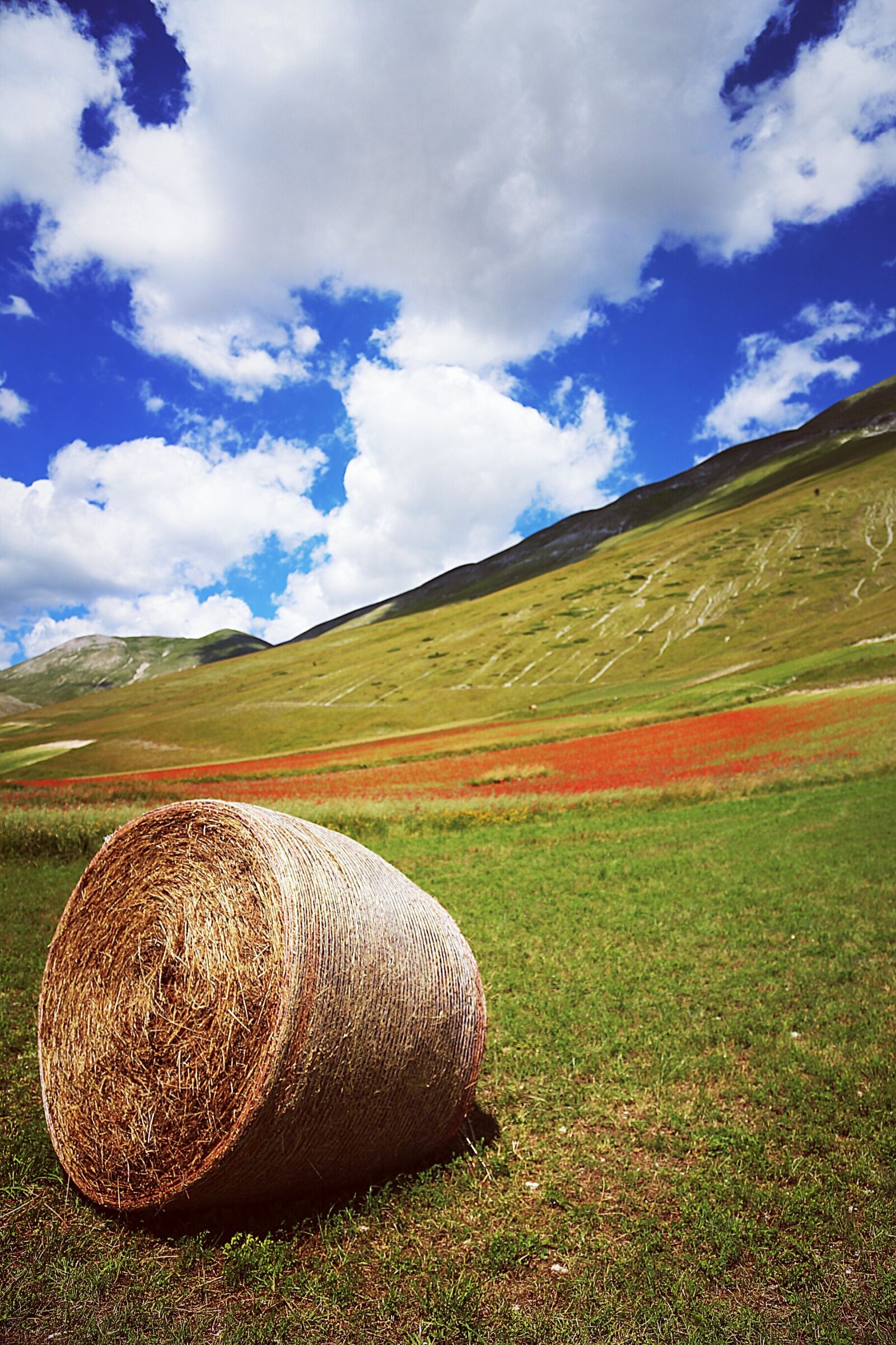 Canon EOS 6D + Canon EF 24-105mm F4L IS USM sample photo. Nature, sky, outdoors photography