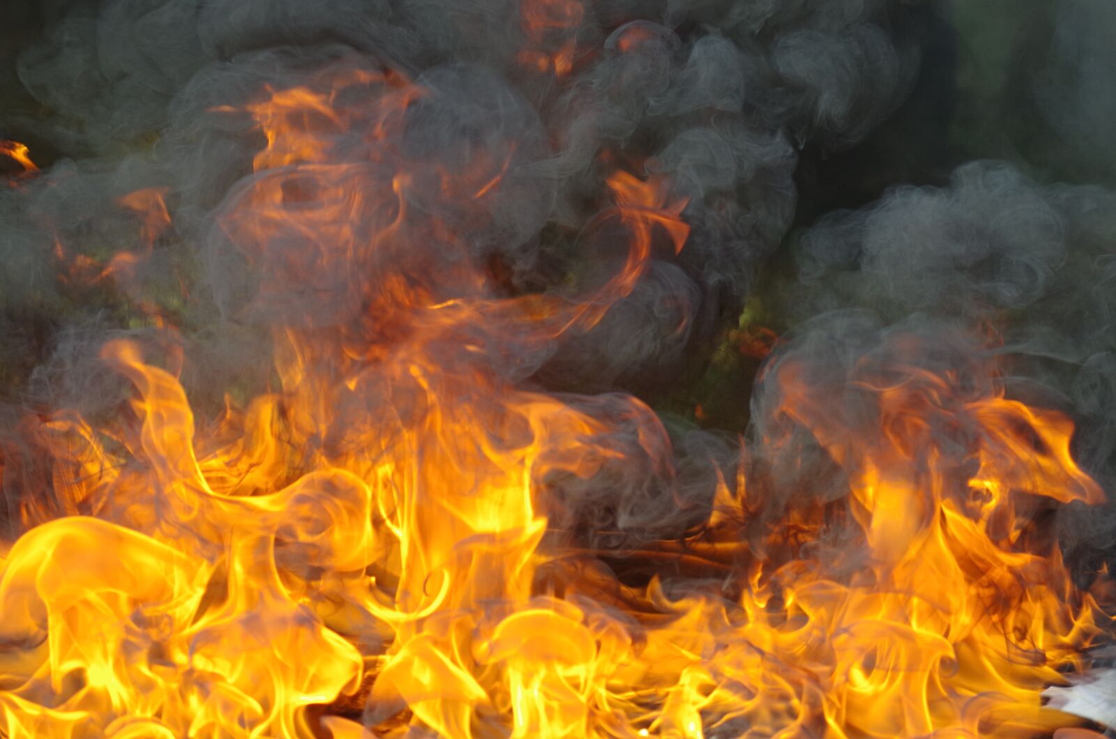Pentax K-500 sample photo. Fire, fireman, to walk photography