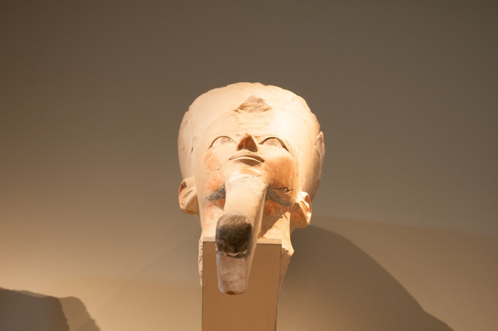 Nikon D300S sample photo. Newyork, metropolitan, museum photography