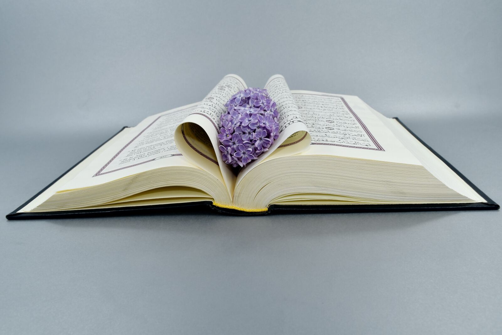 Nikon D5500 sample photo. Arabesque, arabic, islam, lilac photography