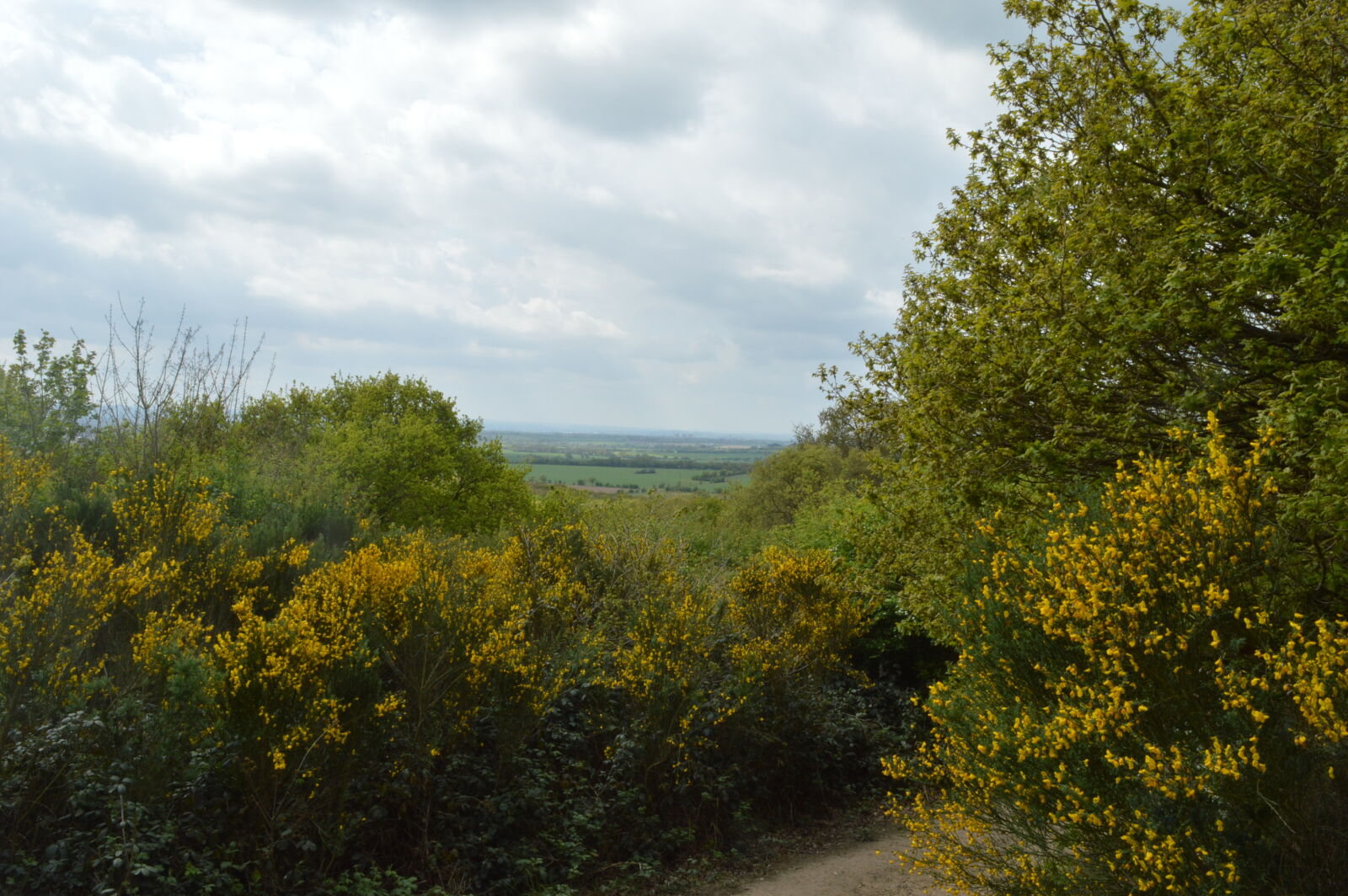 Nikon D3200 sample photo