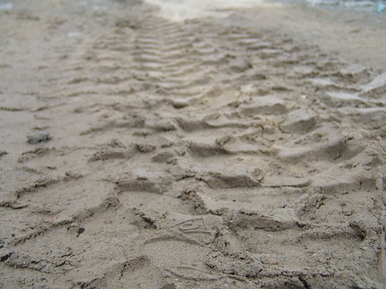 Sony DSC-F828 sample photo. Traces, tire tracks, sand photography