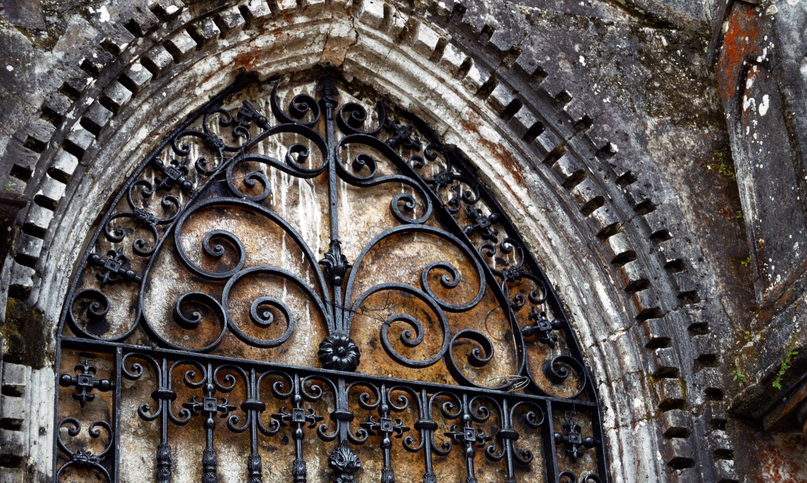 Nikon D3200 sample photo. Church, religion, cathedral photography