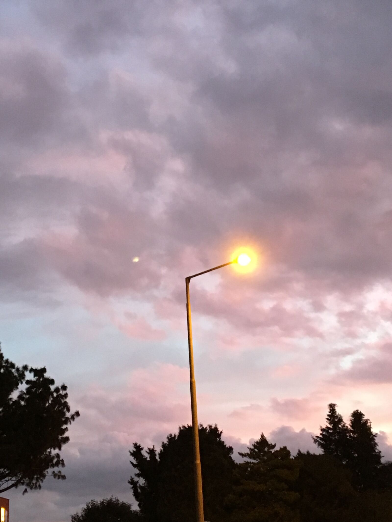 Apple iPhone 6s sample photo