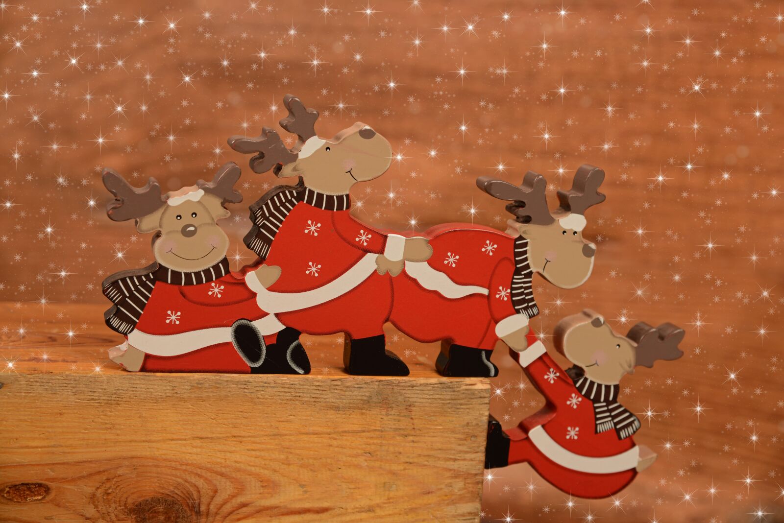 Nikon D800 sample photo. Deer, holidays, christmas decoration photography