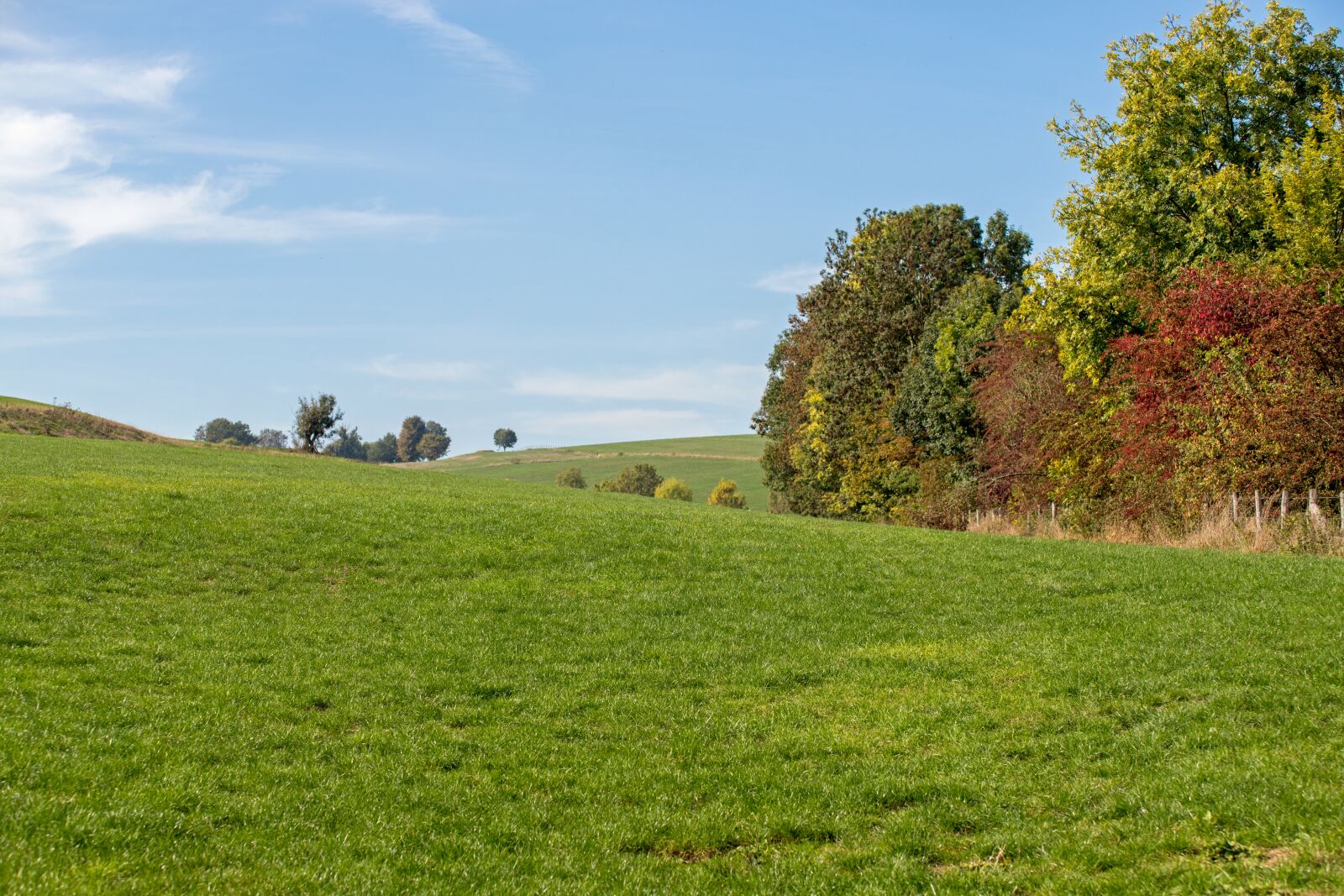 Canon EOS 6D Mark II sample photo. Nature, landscape, autumn photography