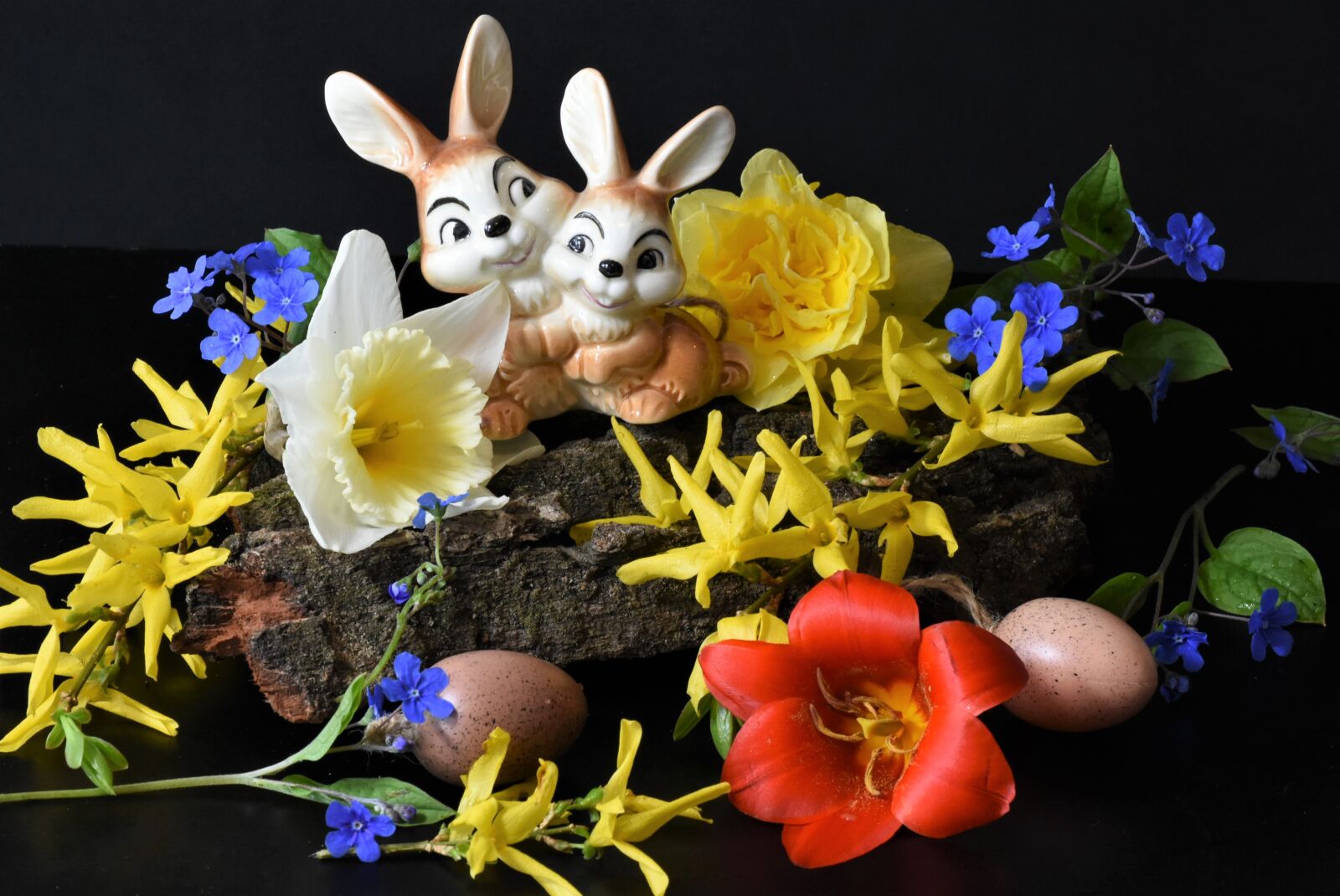 Nikon D7200 sample photo. Forsythia, tulip, osterglocken photography