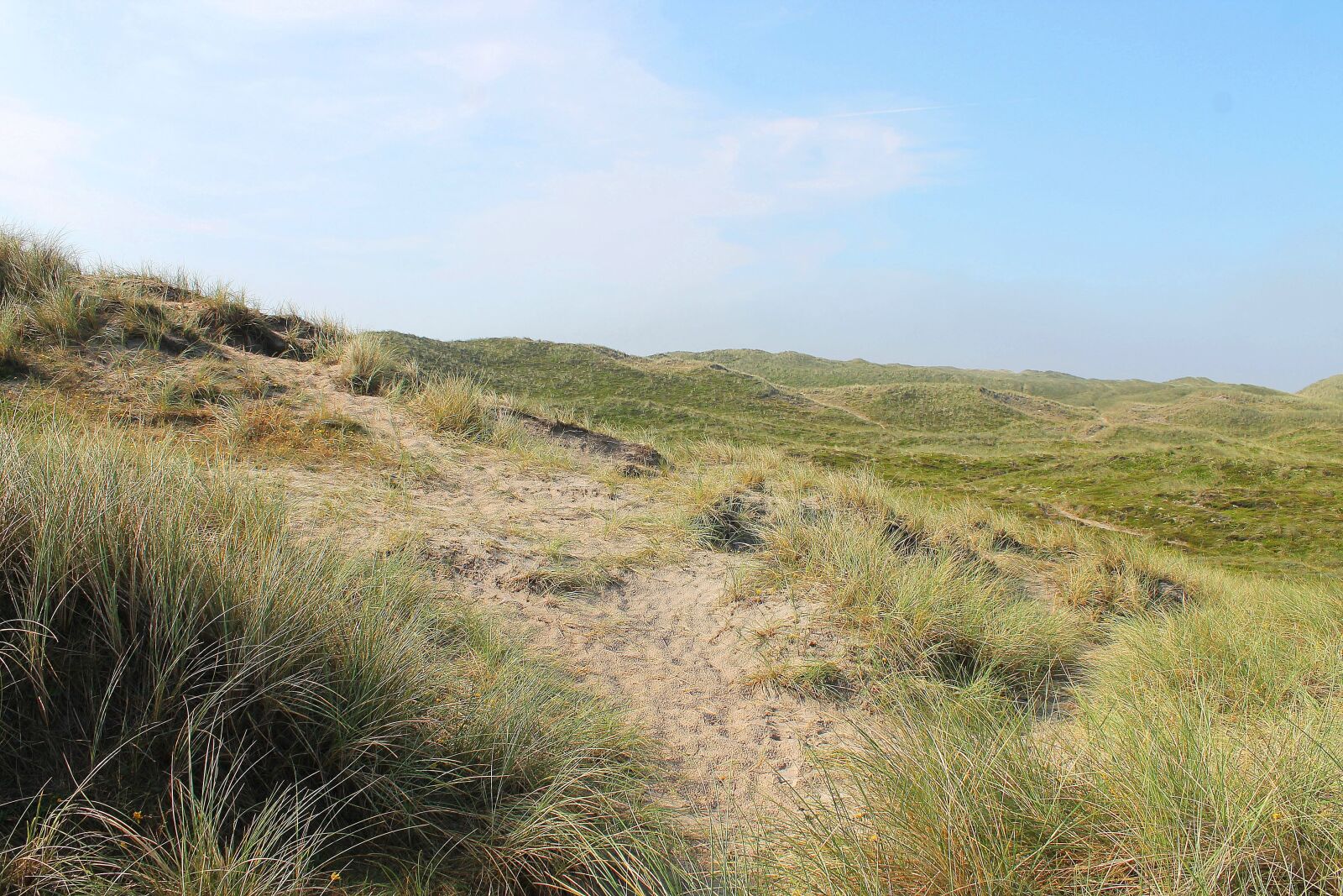 Canon EOS 1100D (EOS Rebel T3 / EOS Kiss X50) sample photo. Dunes, danish, denmark photography