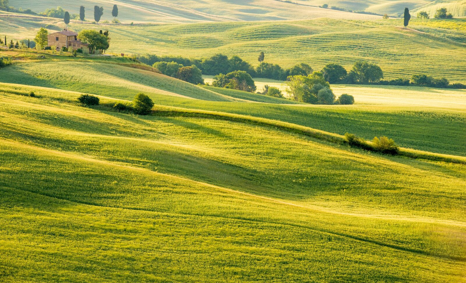 Nikon D750 sample photo. Field, landscape, nature photography
