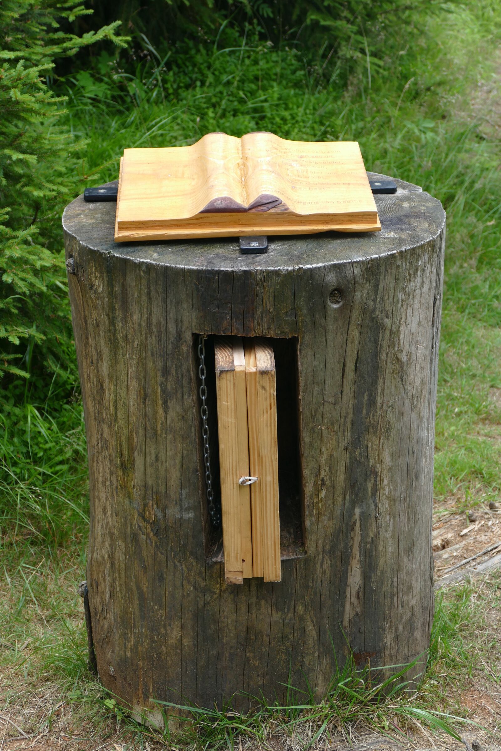 Panasonic Lumix DMC-FZ1000 sample photo. Book, tree stump, myths photography