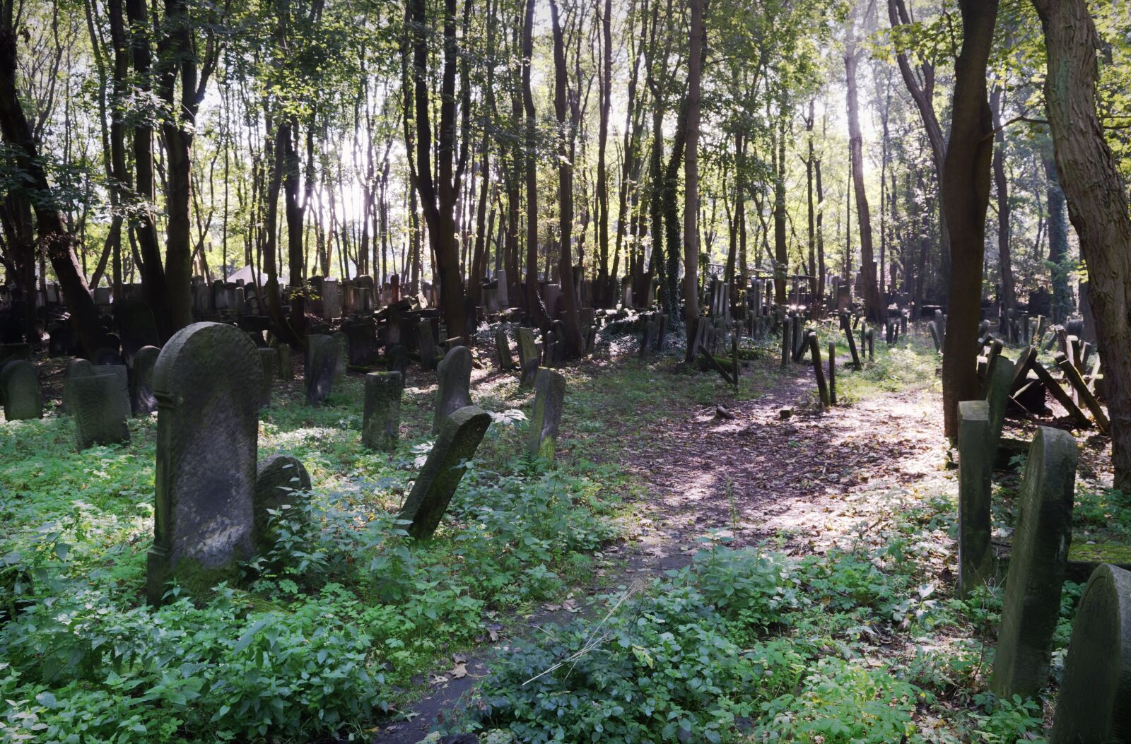 Nikon D5100 sample photo. Landscape, gloomy, cemetery photography