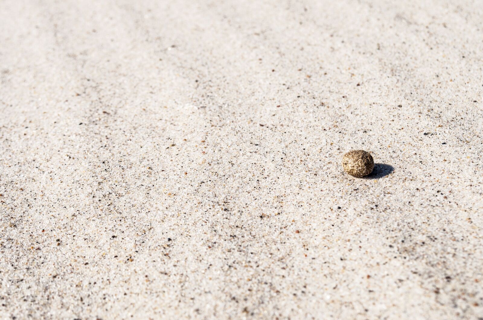 Nikon D5000 sample photo. Sand, texture, beach photography