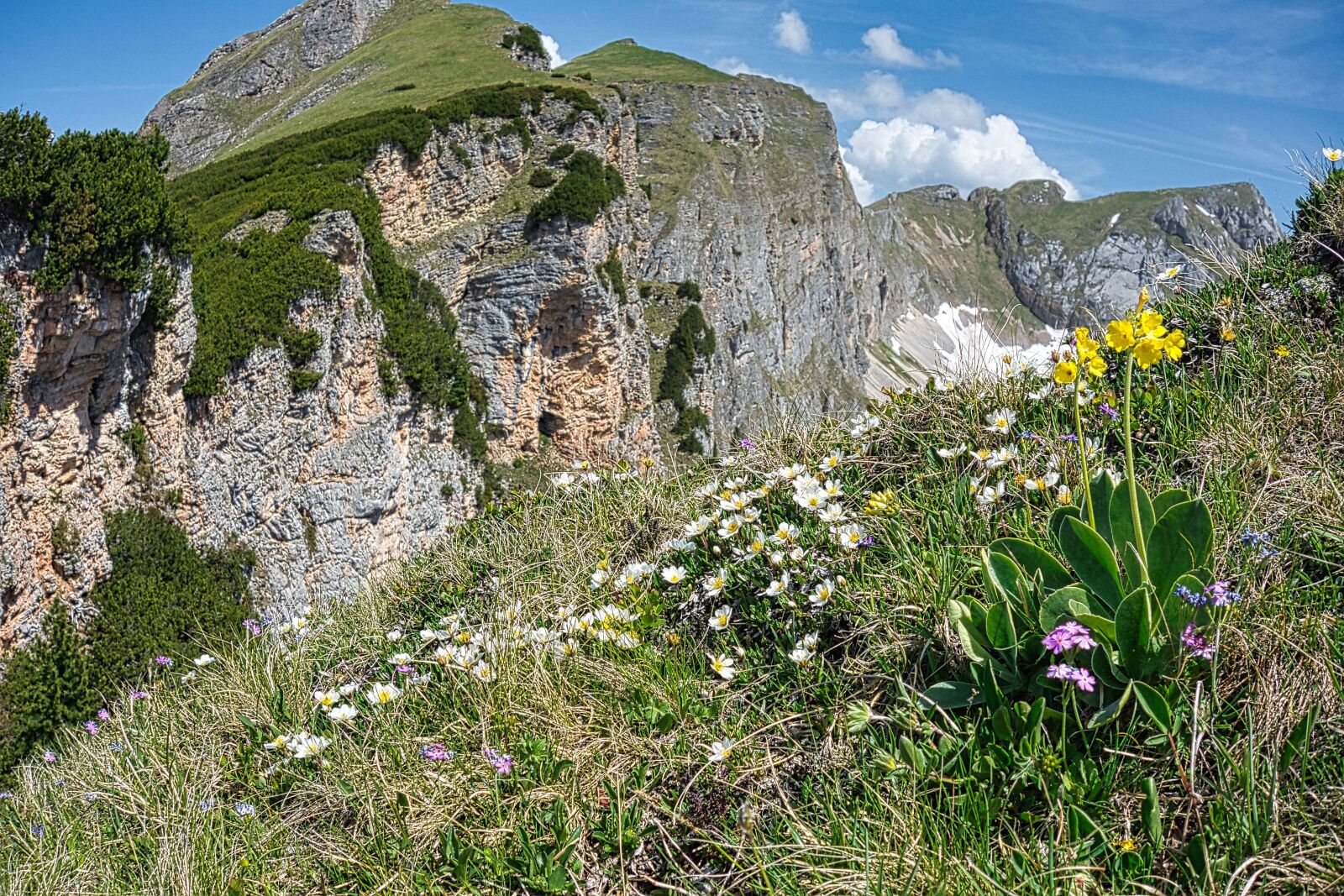 Sony Cyber-shot DSC-RX100 sample photo. Rofan, tyrol, mountains photography