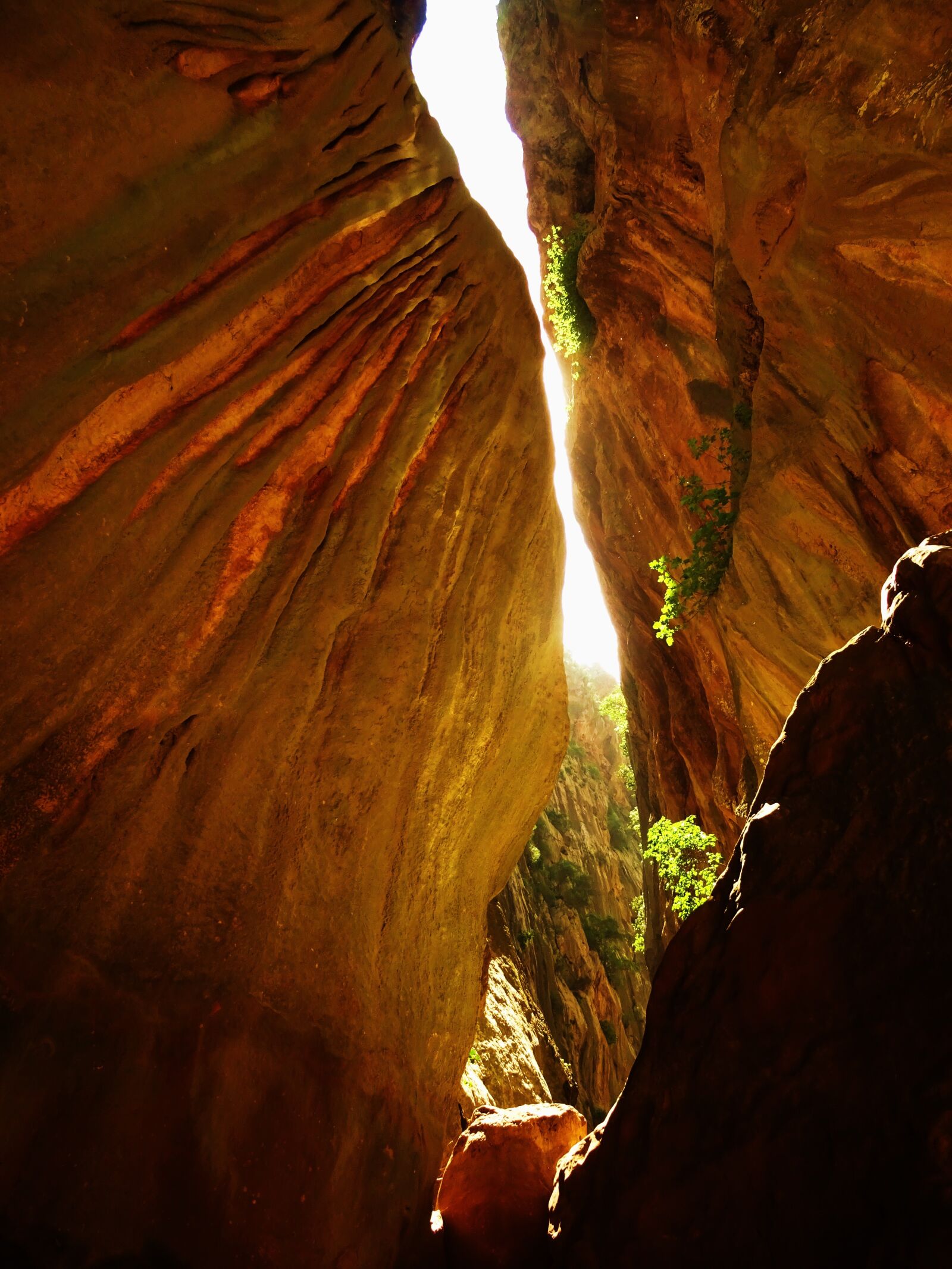 Sony DSC-HX60 sample photo. Gorge, nature, crevice photography