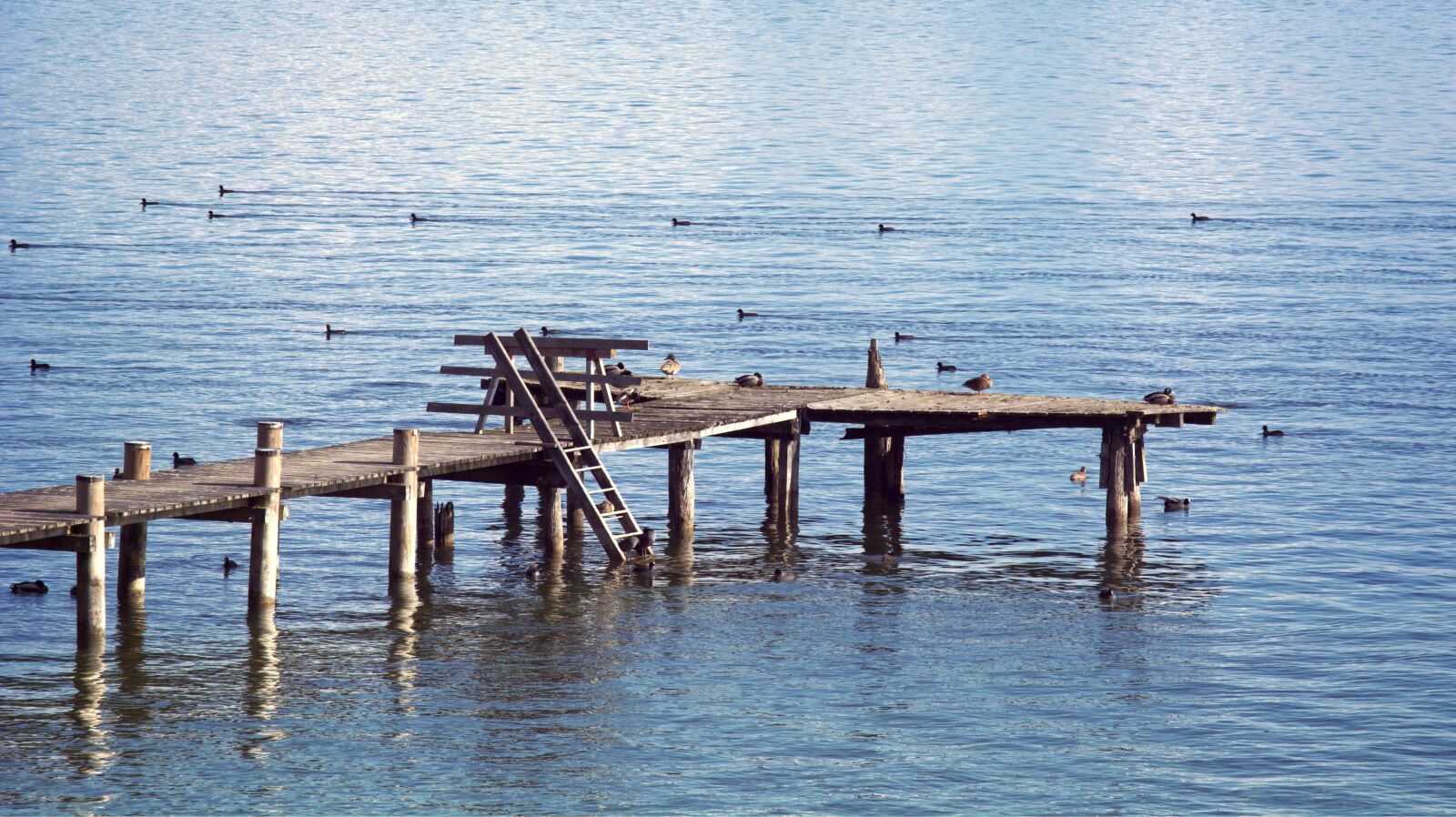 55.0-200.0mm f/4.0-f/5.6 sample photo. Web, boardwalk, water photography