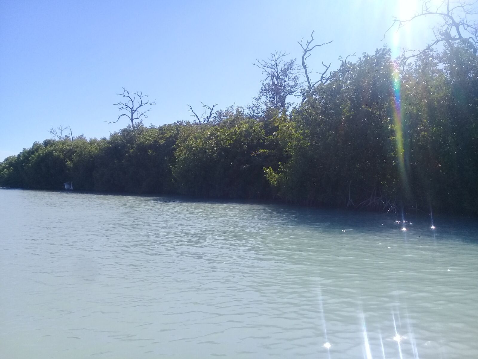 Samsung Galaxy J2 Prime sample photo. Nature, river, travel photography
