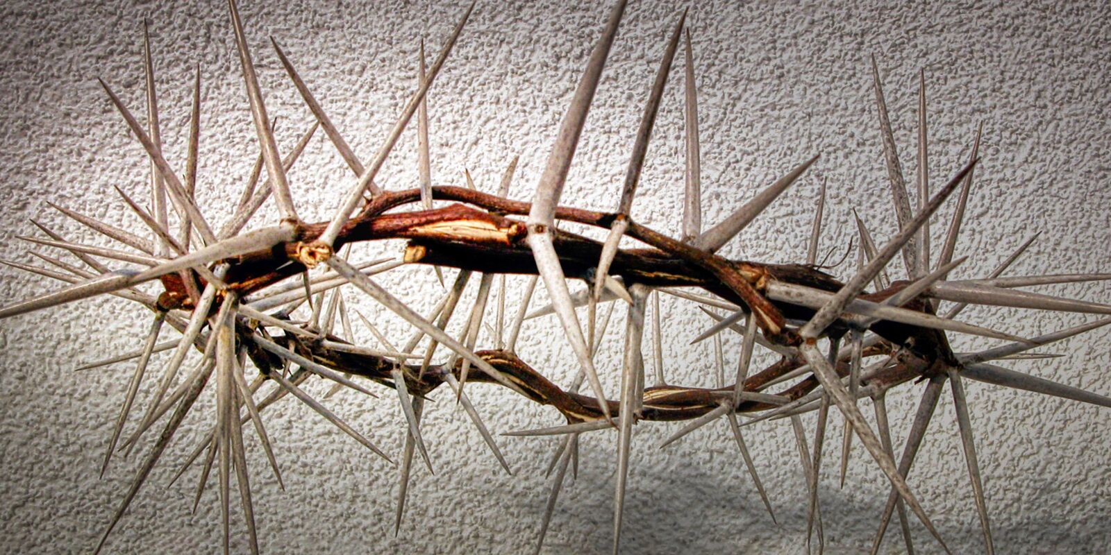 Nikon E5700 sample photo. Easter, crown of thorns photography