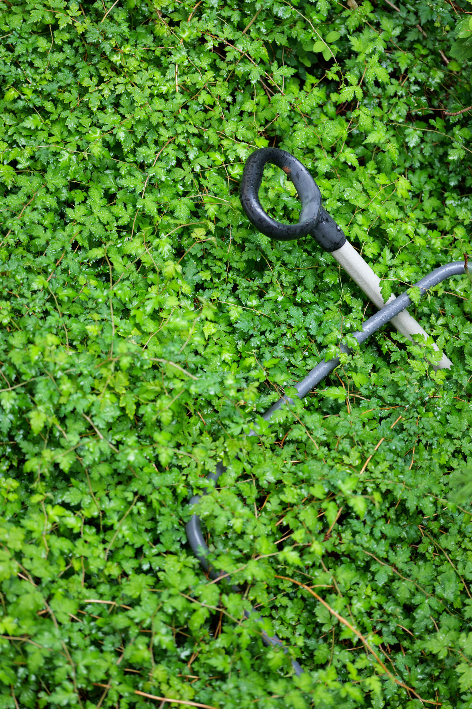 Panasonic Lumix DC-S5 II sample photo. Overgrown tools photography