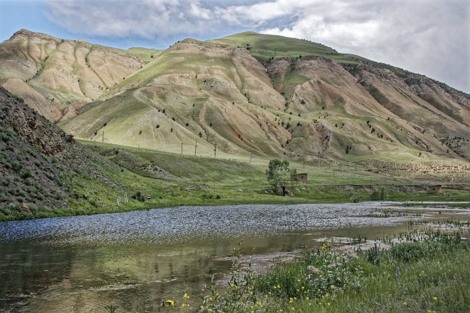 Nikon D500 sample photo. Kyrgyzstan, alai-mountains, alai valley photography