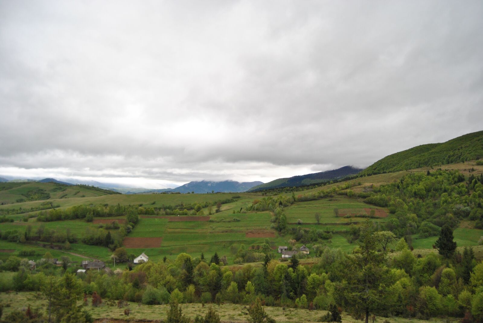 Nikon D3000 sample photo. Nature, ukraine, sky photography