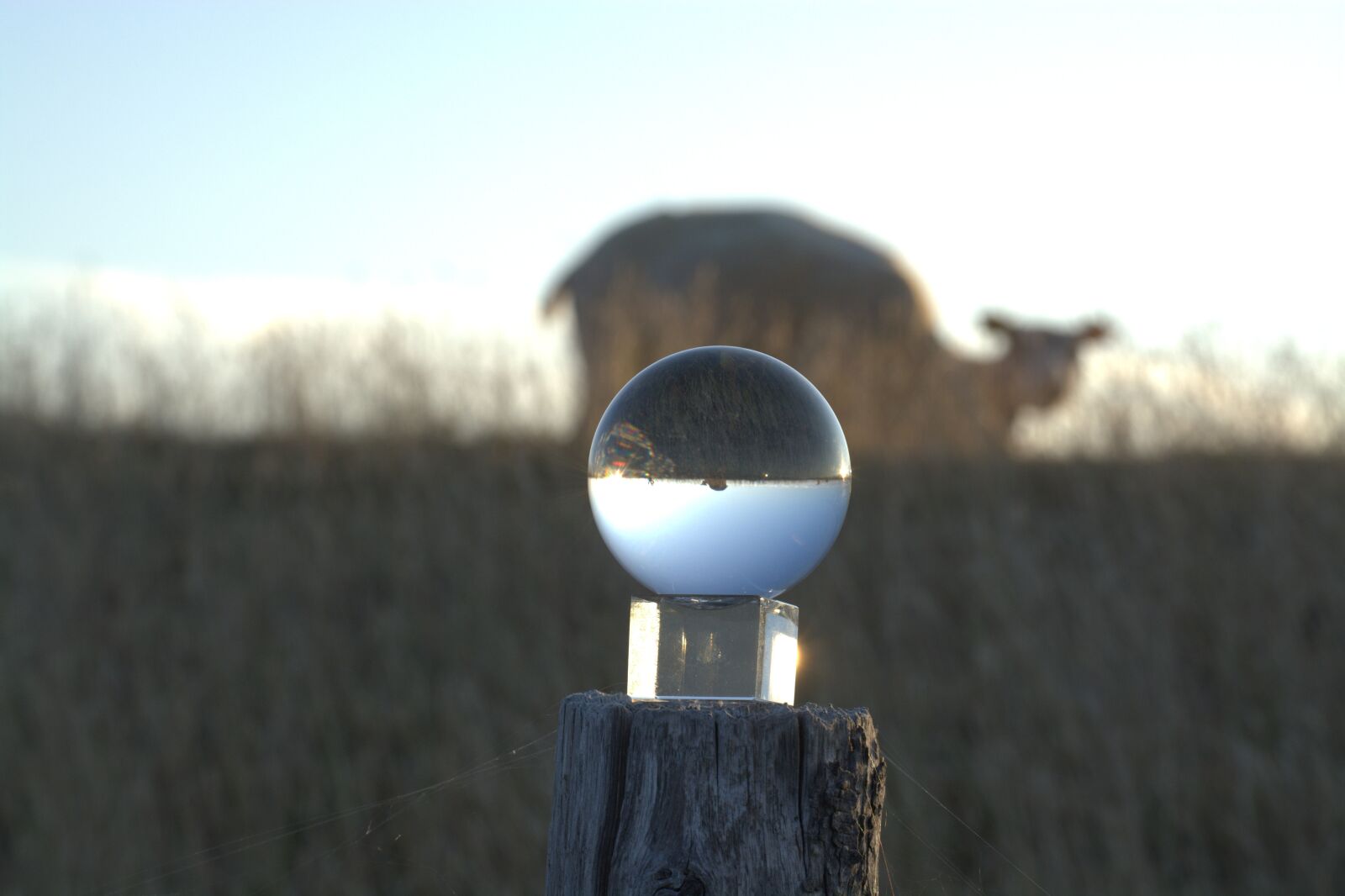 Nikon D5200 sample photo. Globe image, dike, texel photography