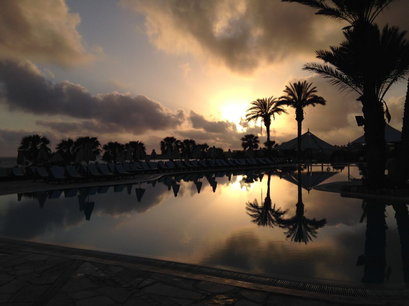 iPhone 5c back camera 4.12mm f/2.4 sample photo. Paradise, palm trees, pool photography