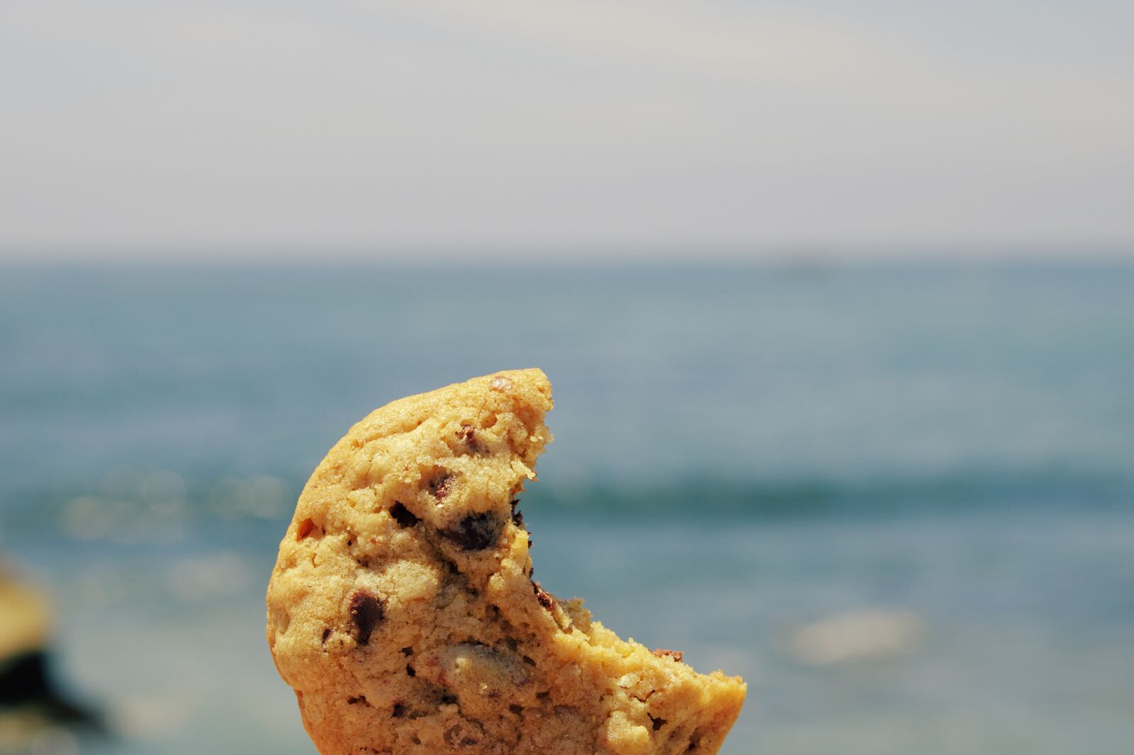 Canon EOS 750D (EOS Rebel T6i / EOS Kiss X8i) sample photo. Cookie, sea, ocean photography