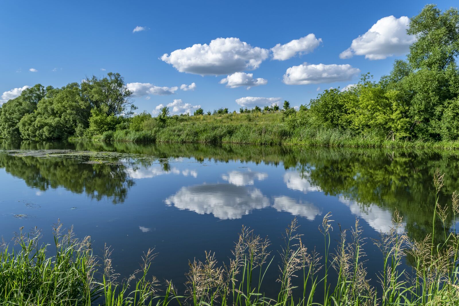 Nikon D3300 sample photo. Nature, summer, sky photography